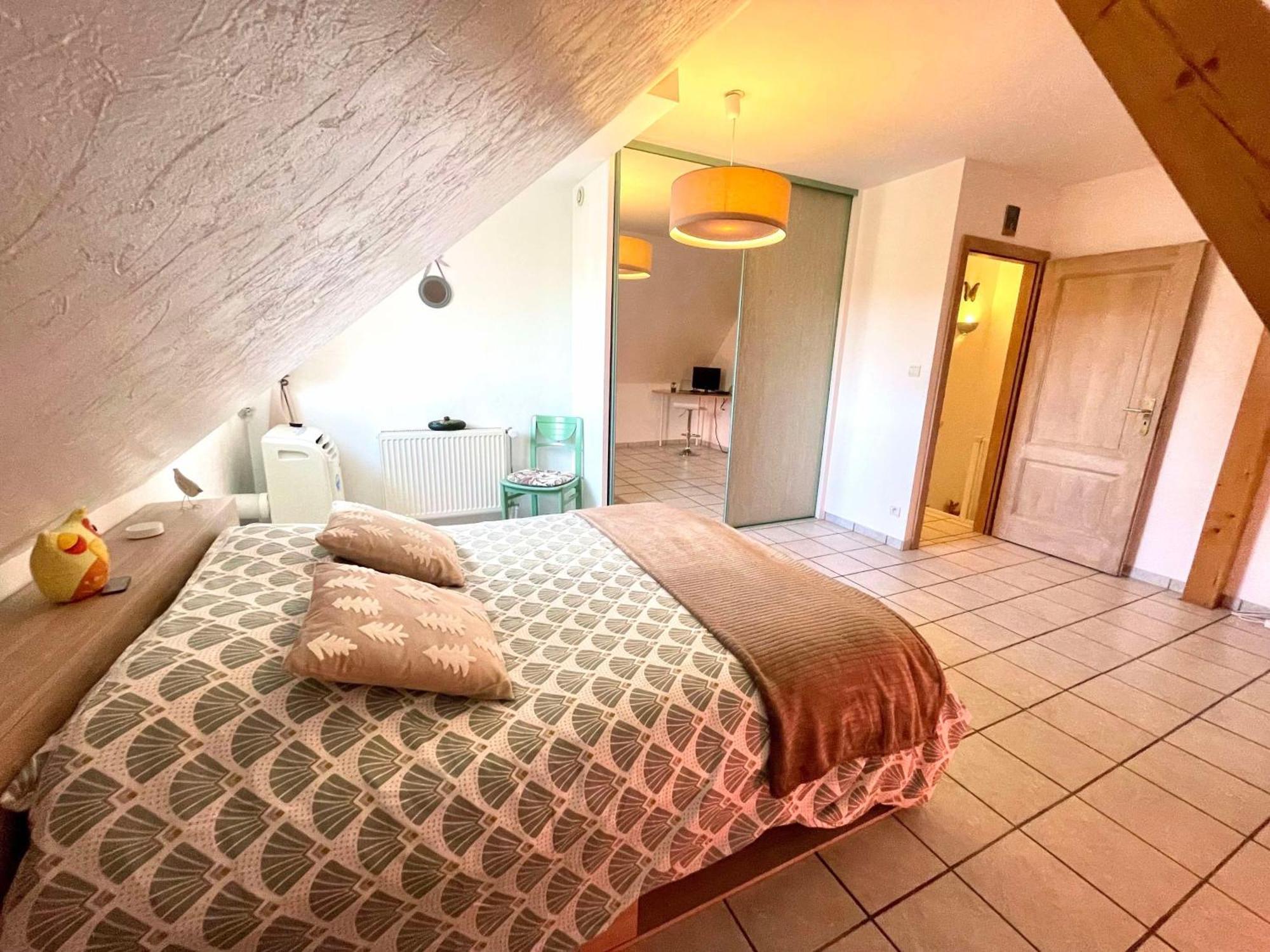 Le Papillon,logement Cosy En Alsace *
