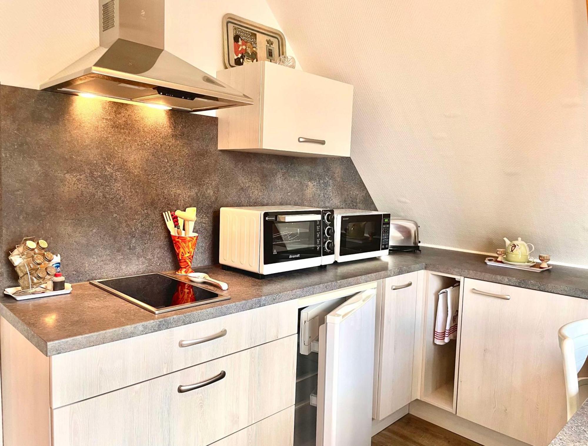 Le Papillon,logement Cosy En Alsace Apartment